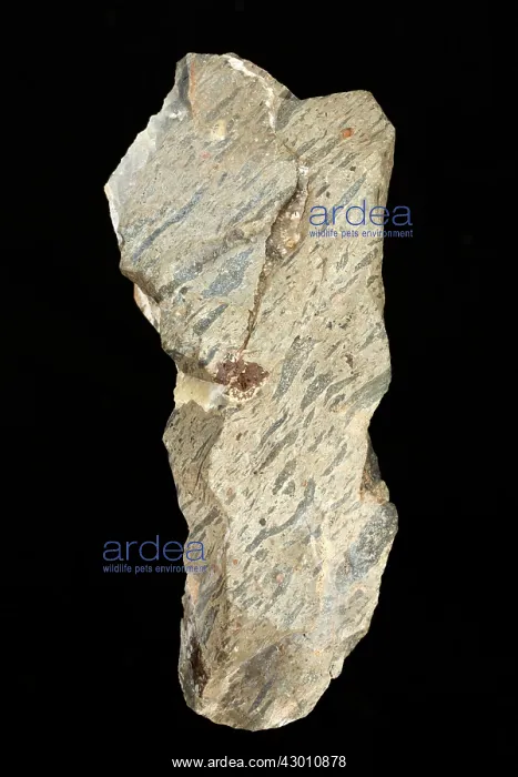: Welded Tuff : Welded Tuff
