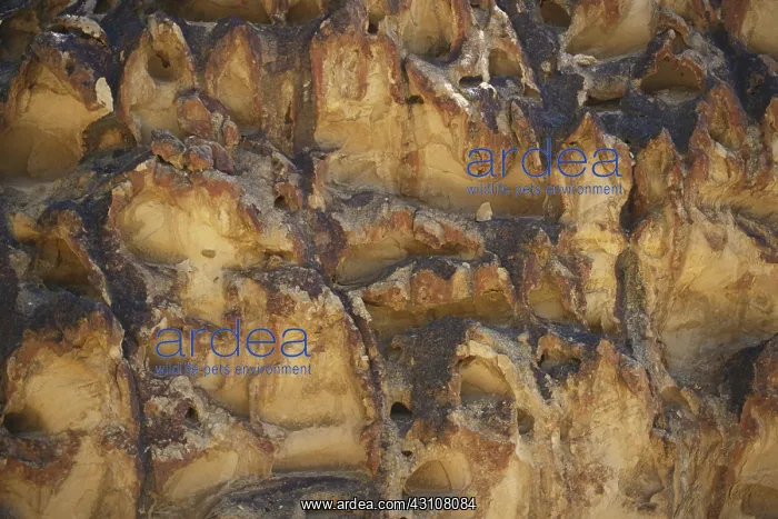 : Welded Tuff : Welded Tuff