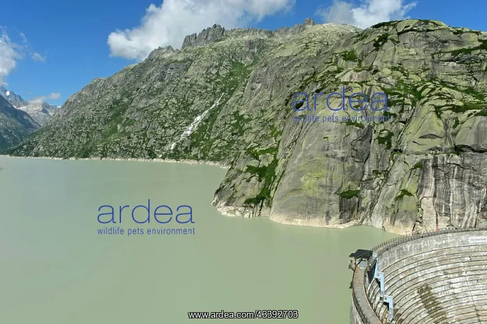 : The well-filled Grimselsee reservoir with the Sp : The well-filled Grimselsee reservoir with the Sp
