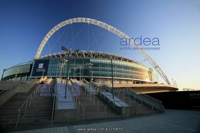 : Wembley Stadium in the evening sun, London, England : Wembley Stadium in the evening sun, London, England