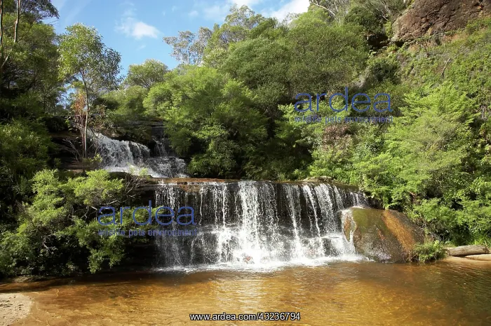 : Wentworth Falls, Blue Mountains, New South : Wentworth Falls, Blue Mountains, New South