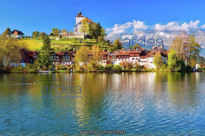 : Werdenberg Castle with old town at Werdenbergersee : Werdenberg Castle with old town at Werdenbergersee