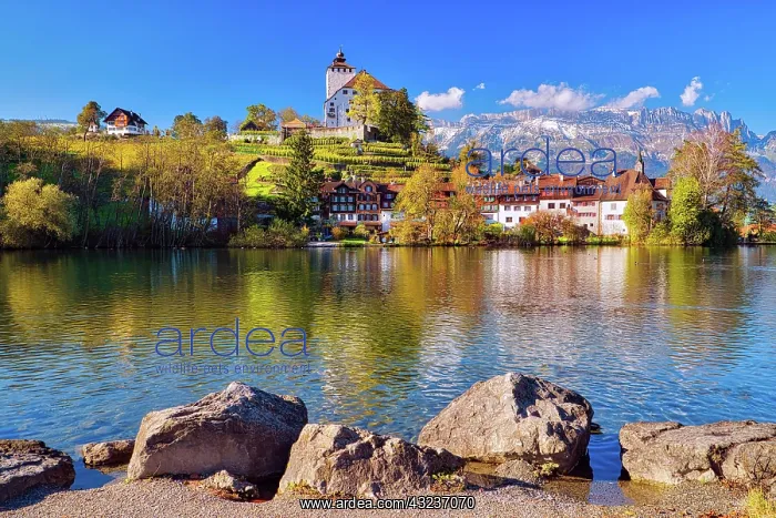 : Werdenberg Castle with old town at Werdenbergersee : Werdenberg Castle with old town at Werdenbergersee