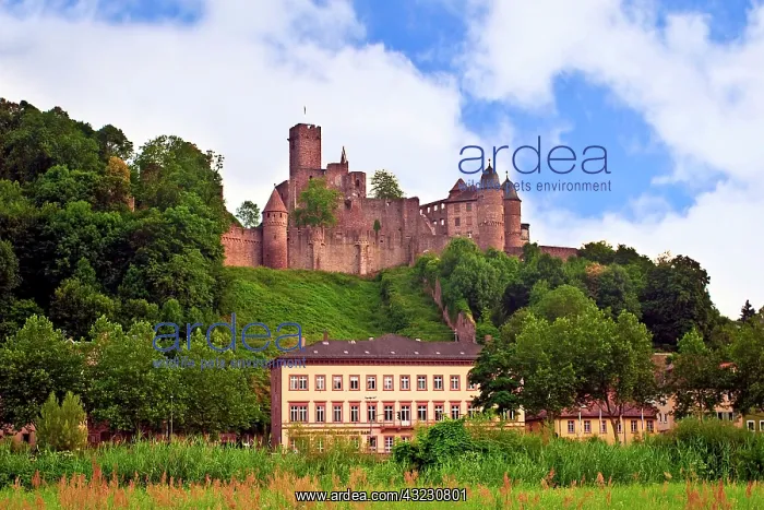 : Wertheim, Germany Wertheim Castle : Wertheim, Germany Wertheim Castle