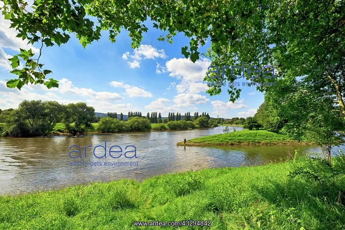 : Weser near H&, x1b8d25;r, Weserbergland, North Rhine-Westphal : Weser near H&, x1b8d25;r, Weserbergland, North Rhine-Westphal