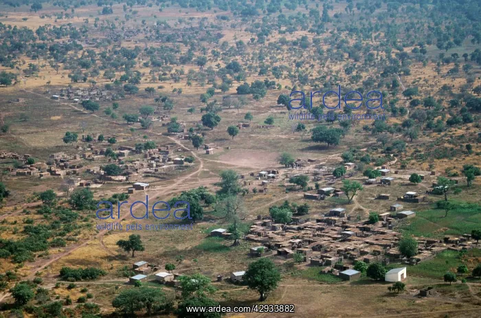 : West Africa - village near Bobo : West Africa - village near Bobo