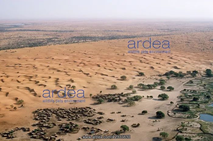: West Africa - village & sand dunes : West Africa - village & sand dunes
