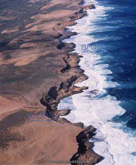 : West AUSTRALIA - Shark Bay, and cliffs : West AUSTRALIA - Shark Bay, and cliffs