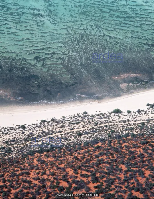 : West AUSTRALIA - Stromatolites : West AUSTRALIA - Stromatolites