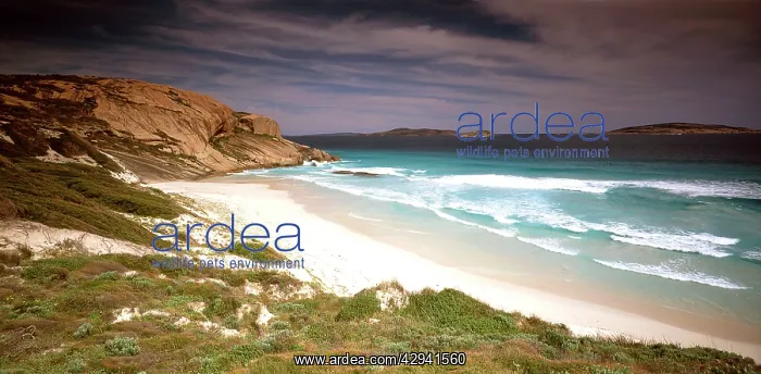 : West beach Esperance, Western Australia : West beach Esperance, Western Australia
