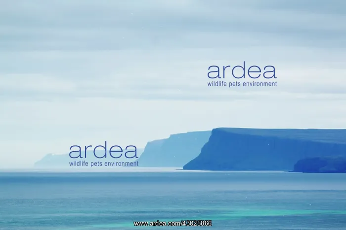 : West Fjords : West Fjords