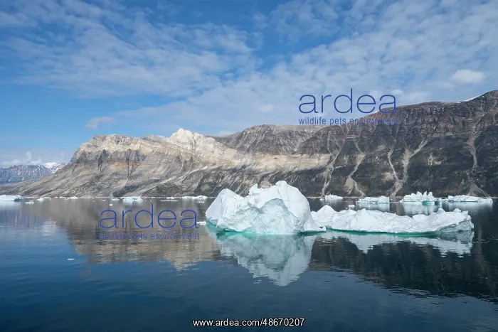 : West Greenland, Baffin Bay, Scenic Uummannaq Fjord. Second : West Greenland, Baffin Bay, Scenic Uummannaq Fjord. Second