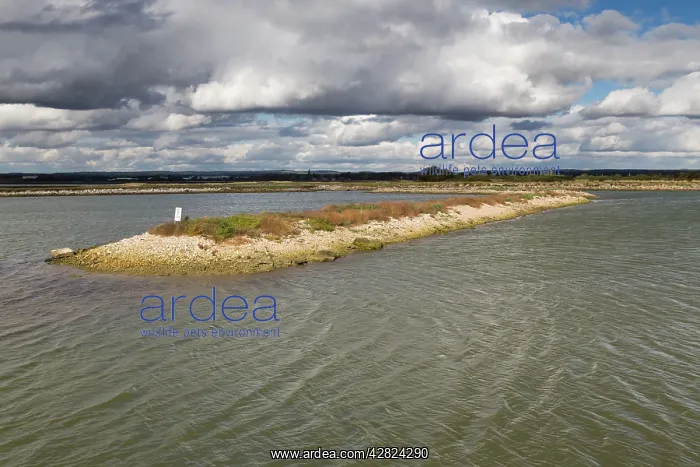 : West Hayling - Langstone Harbour : West Hayling - Langstone Harbour