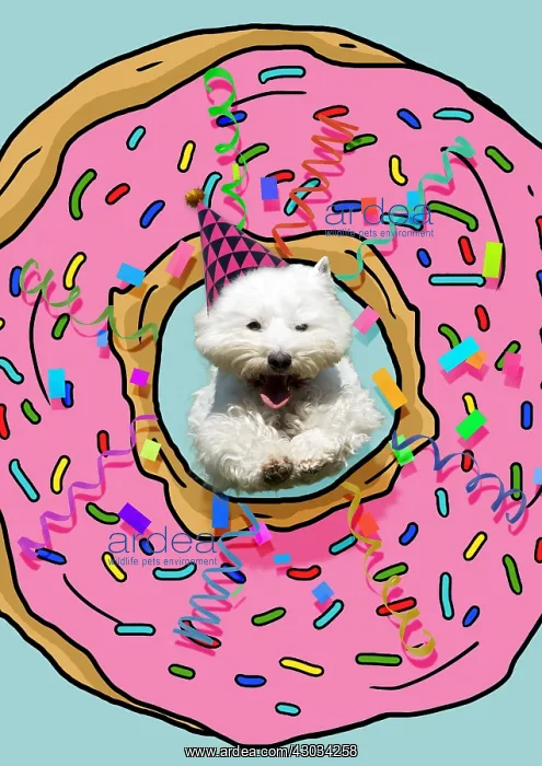 : West Highland White Terrier Dog, wearing Birthday : West Highland White Terrier Dog, wearing Birthday