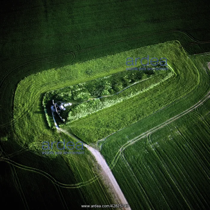 : West Kennet Long Barrow, a Neolithic tomb or barrow : West Kennet Long Barrow, a Neolithic tomb or barrow