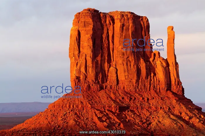 : West Mitten Butte : West Mitten Butte