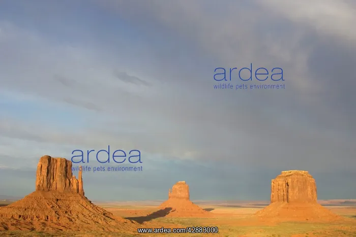 : West Mitten, East Mitten and Merrick Butte : West Mitten, East Mitten and Merrick Butte