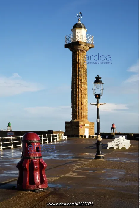 : The West Pier Lighthouse at Sunrise : The West Pier Lighthouse at Sunrise