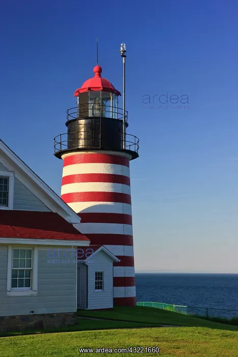: West Quoddy Head Light at Quoddy Head State : West Quoddy Head Light at Quoddy Head State