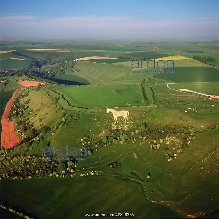 : Westbury White Horse, and an Iron Age Bratton Camp : Westbury White Horse, and an Iron Age Bratton Camp