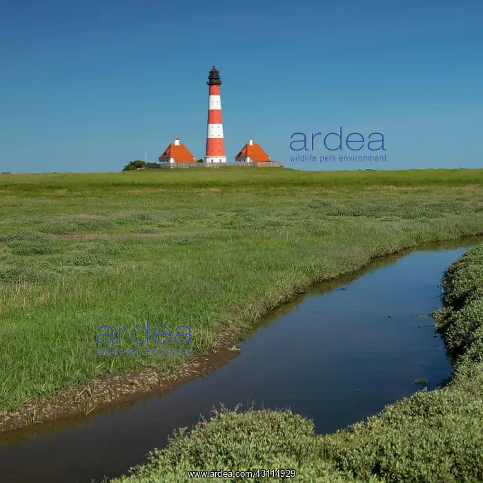 : Westerhever Lighthouse, Wadden Sea National Park : Westerhever Lighthouse, Wadden Sea National Park