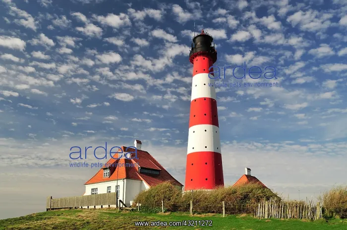  : Westerheversand Lighthouse, Westerhever, Eiderstedt