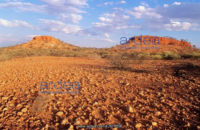 : Western Australia : Western Australia