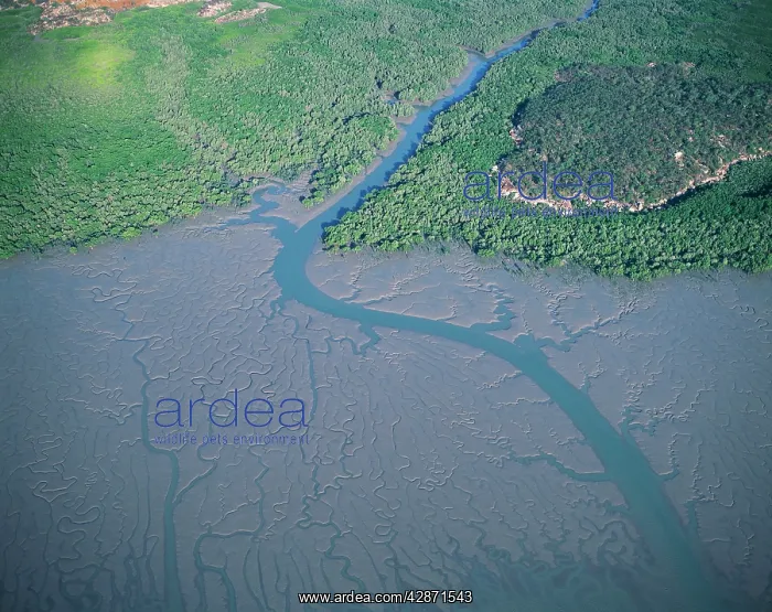 : Western Australia - Aerial of St George basin : Western Australia - Aerial of St George basin