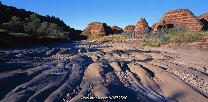 : Western AUSTRALIA - Dry bed of Piccaninny Creek : Western AUSTRALIA - Dry bed of Piccaninny Creek