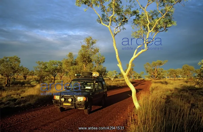 : Western Australia - Four-wheel drive on road in : Western Australia - Four-wheel drive on road in