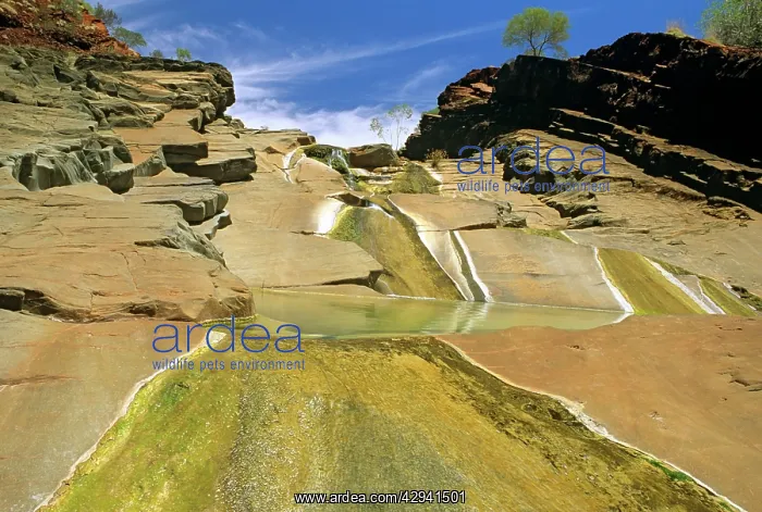 : Western Australia - Hamersley Gorge : Western Australia - Hamersley Gorge