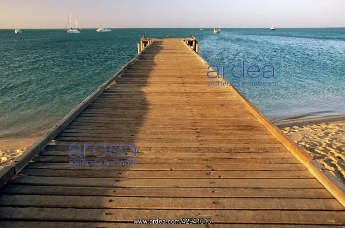 : Western Australia - Pier : Western Australia - Pier