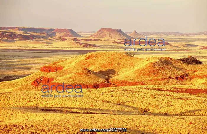 : Western Australia, Pilbara region : Western Australia, Pilbara region