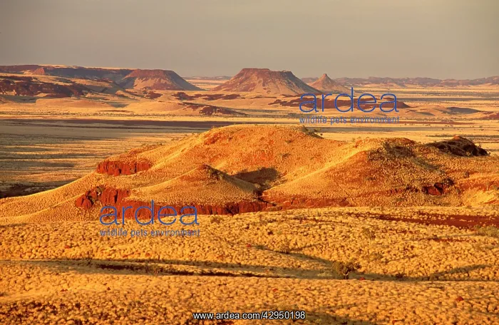 : Western Australia, Pilbara region : Western Australia, Pilbara region