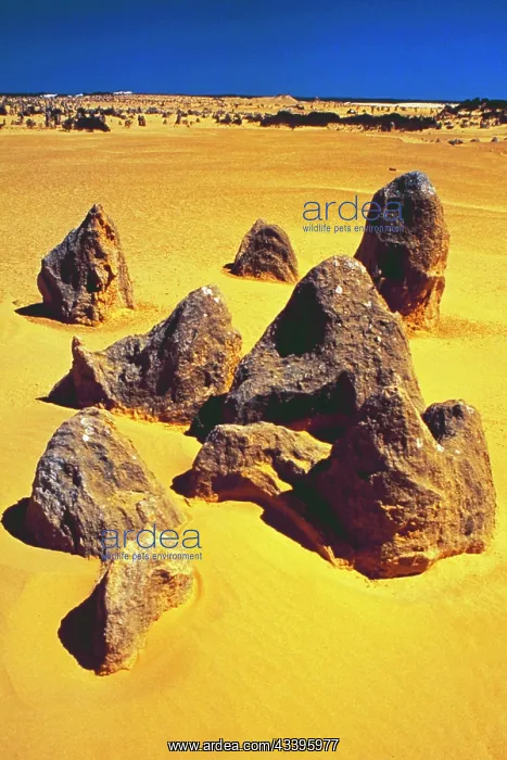 : Western Australia: The Pinnacles National Park with : Western Australia: The Pinnacles National Park with