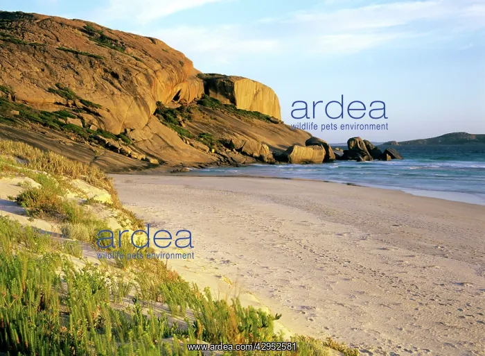 : Western Australia -Town beach : Western Australia -Town beach