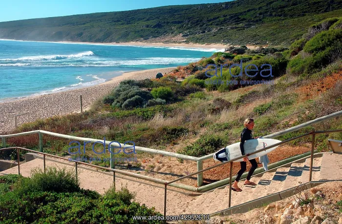  : Western Australia - young surfer
