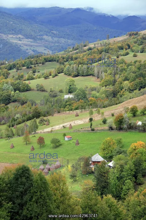  : Western Carpathians Mountains Romania
