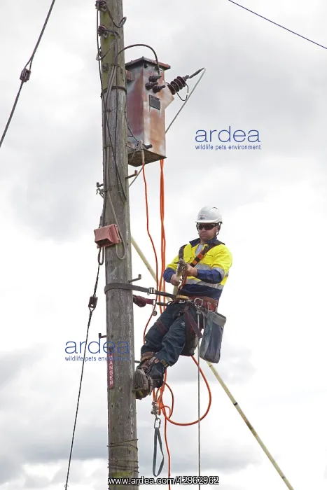 : Western Power engineer reconnecting transformer : Western Power engineer reconnecting transformer