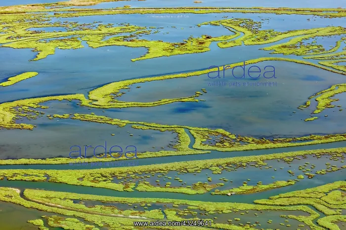 : Wetland on the Aegean coast, Turkey : Wetland on the Aegean coast, Turkey
