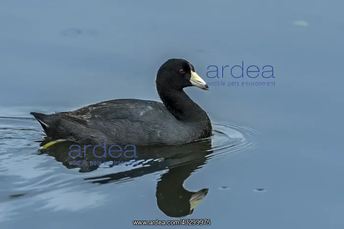  : wetland Cordoba, Bogota, Colombia wetland C&, xf292f;ba