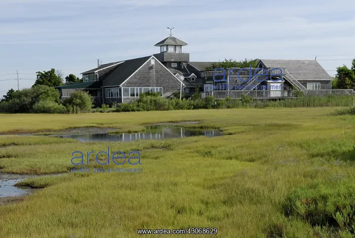 : The Wetlands Institute : The Wetlands Institute
