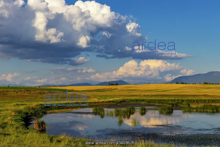 : Wetlands pond in the Flathead Valley, Montana, USA : Wetlands pond in the Flathead Valley, Montana, USA
