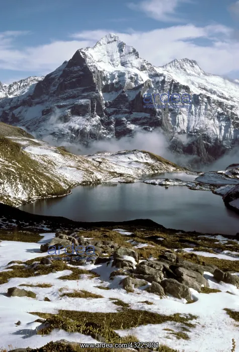 : The Wetterhorn rises above the Bachsee in : The Wetterhorn rises above the Bachsee in