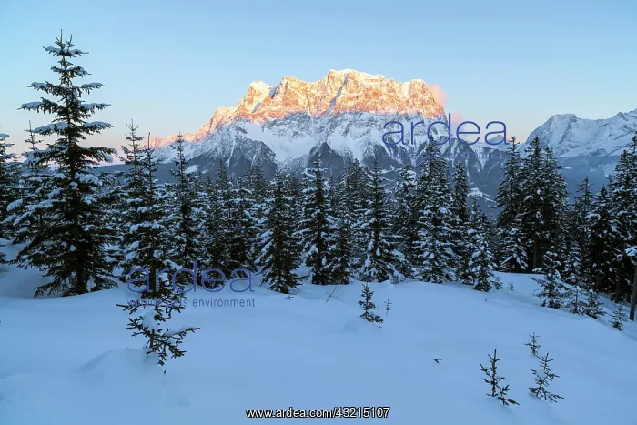 : Wetterstein mountain chain with Mt. Zugspitze : Wetterstein mountain chain with Mt. Zugspitze