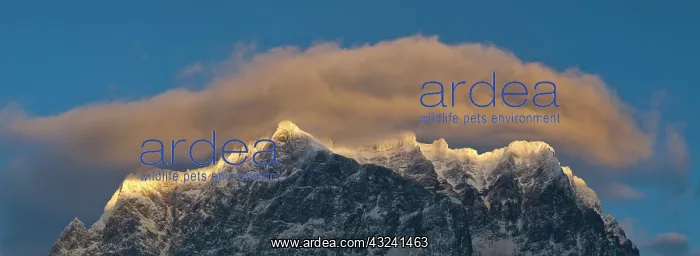 : Wetterstein mountain chain with Mt. Zugspitze : Wetterstein mountain chain with Mt. Zugspitze
