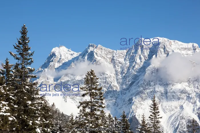 : Wetterstein mountain chain with Mt. Zugspitze : Wetterstein mountain chain with Mt. Zugspitze