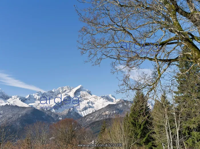 : Wetterstein Mountain range in winter. The : Wetterstein Mountain range in winter. The