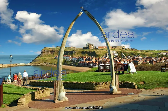 : Whale Bone arch overlooking Whitby harbour with : Whale Bone arch overlooking Whitby harbour with