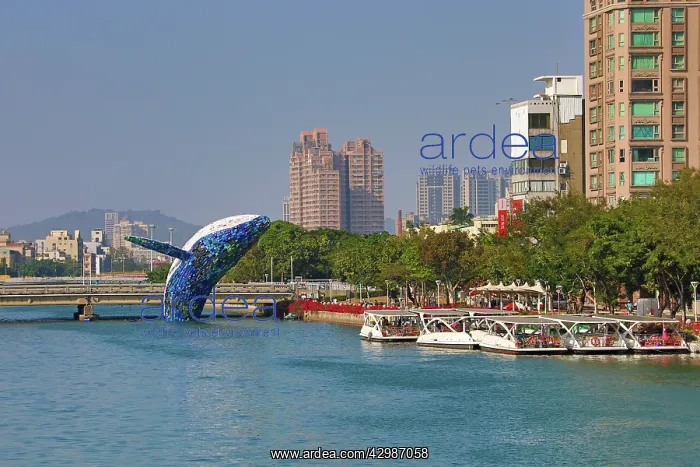 : Whale in Love ecological art installation in : Whale in Love ecological art installation in